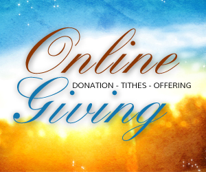 online-giving-widget
